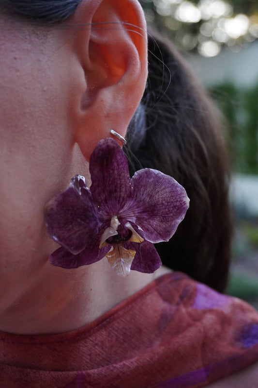 Orquídeas Moradas Pegadas